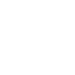 Check Icon